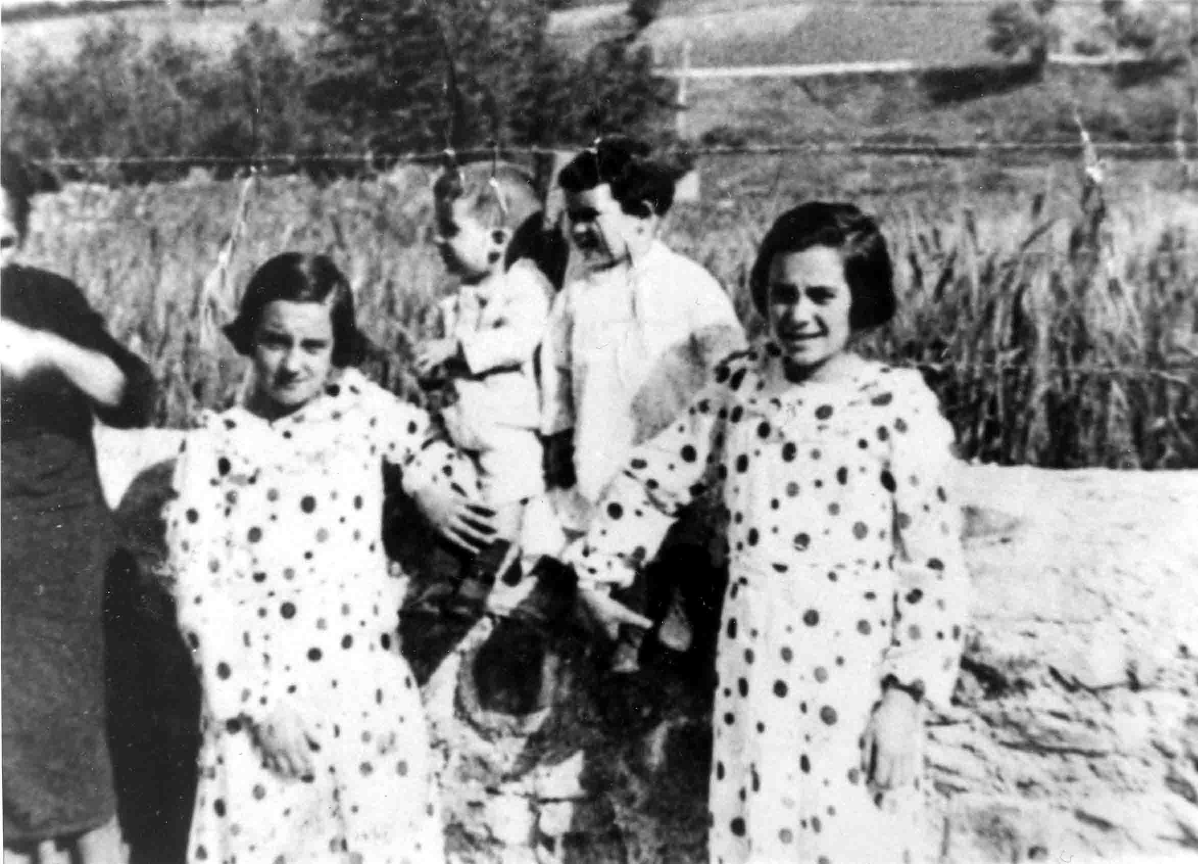 Image Name: 1010.jpg