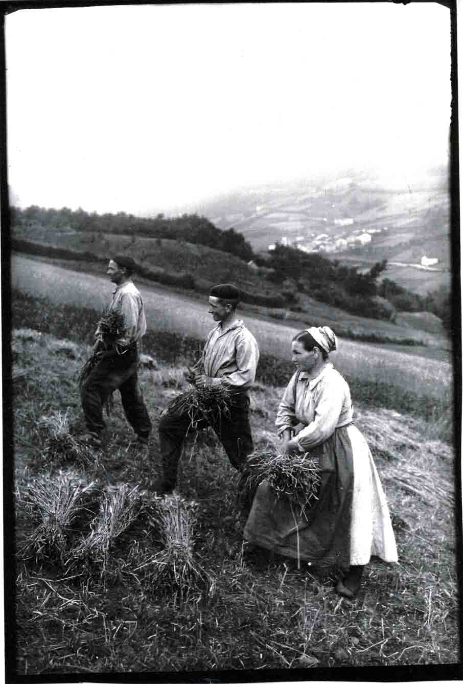 Image Name: 1320.jpg