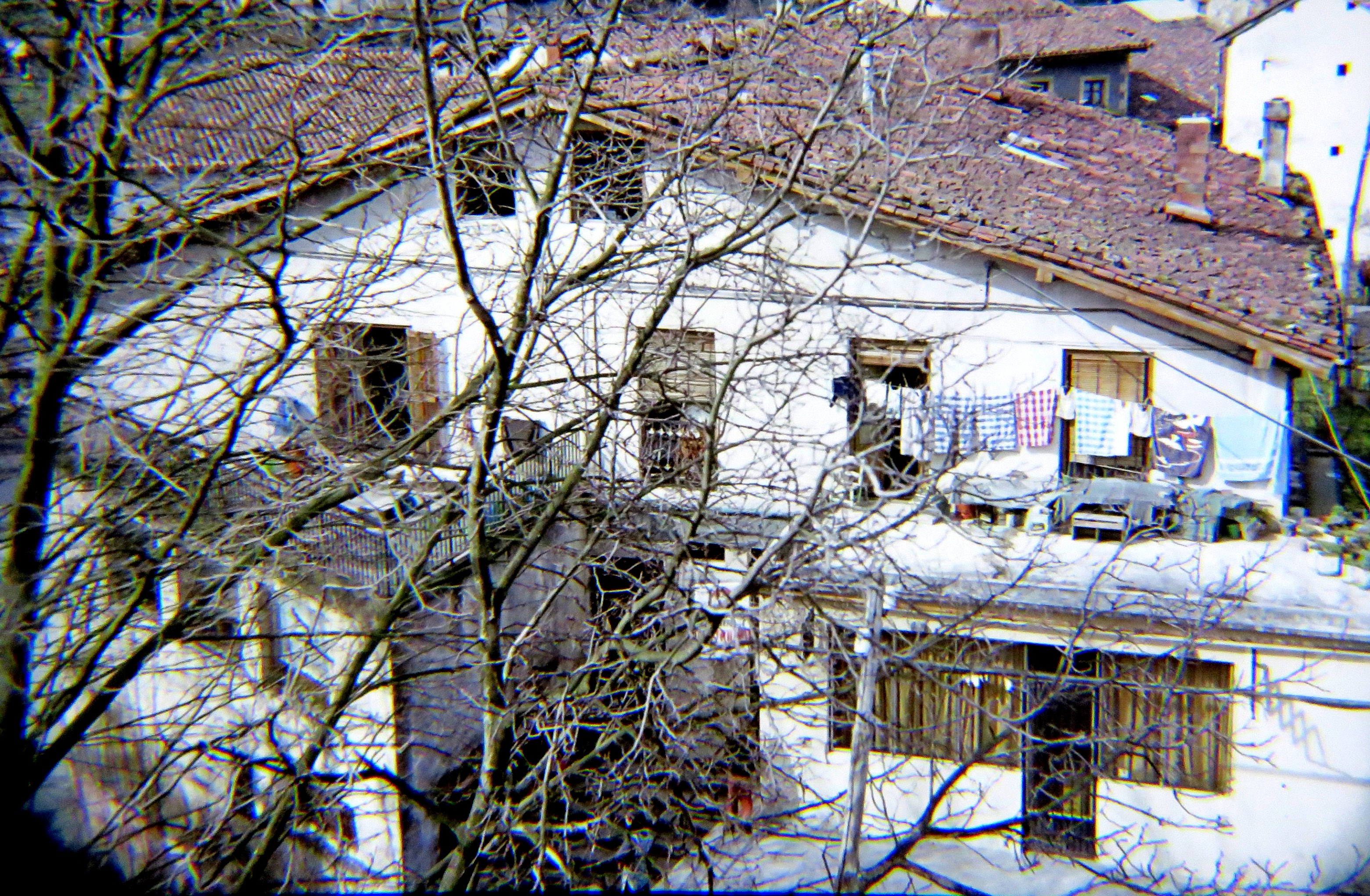 Argazki Indibiduala